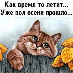 ��������, ������, 52 ����