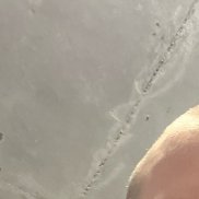 �����, 29 ���, ���������