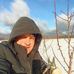 ���������, 49 ���, ������