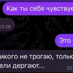 ���� �����, �������� - ��������� 23 ������ 2026