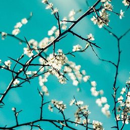 ������, �����, 47 ���