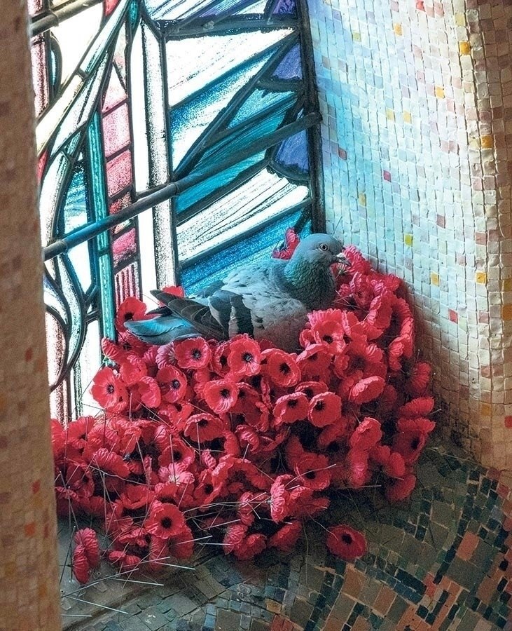 � ������� ������ � ��������� ������ �������� ������������ ��������� �� �������� �����, ���������� ...