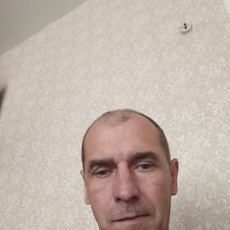  , 44, 