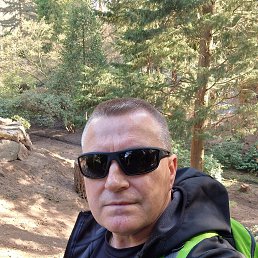 , 40, 