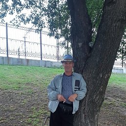 ����� �����, ������, 64 ����