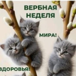 ���� �����, ������, 50 ��� - ��������� 11 ������ 2025