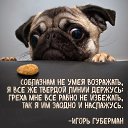 ���� �����, ���������, 59 ��� - ��������� 7 ������� 2026 � ������ ���� ����������