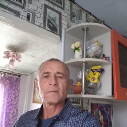 , 54, 