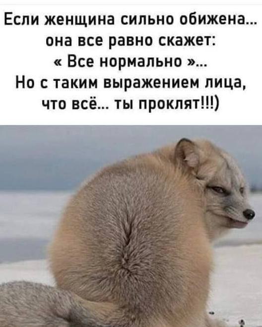 ���� ����� - 13 ������� 2026 � 18:02