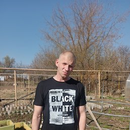 , 40, 