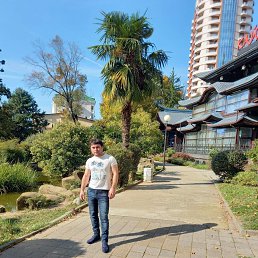 ������, 37 ���, �����