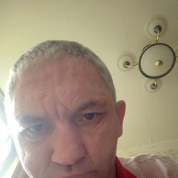 , 44 ,  
