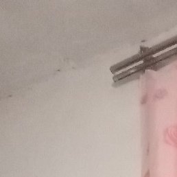 ����, �����������, 46 ���