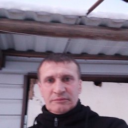 ���� ����, ������, 55 ��� - ��������� 11 ������� 2024