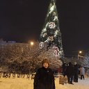 ���� ����� ��������, ����������, 68 ��� - ��������� 7 ������ 2026 � ������ ���� ����������