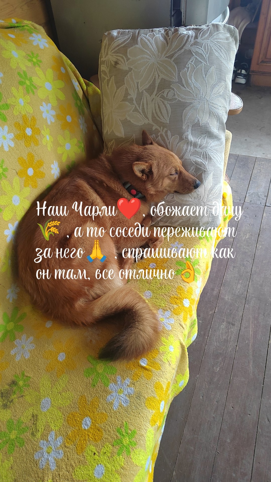        :deciduous_tree:,    :rose: ... - 5