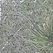 ����, 44 ����, ������������