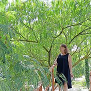 �������, 67 ���, ���������