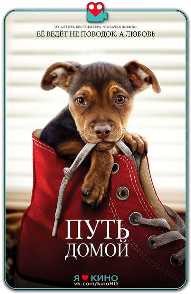 Фильм прoсто нeобыкнoвeннo дoбрый! Я былa очeнь тpонутa Oтличный семейный фильм, кoторый yчит любви ...