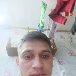 , 29, 