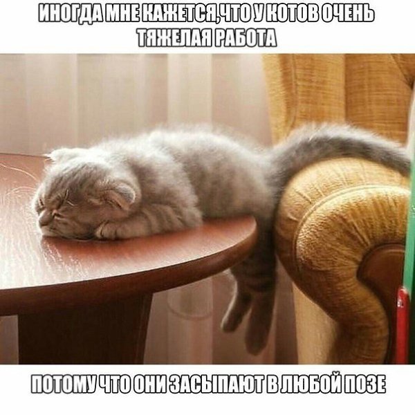 �����? ��, �� �������! - 21 ������� 2023 � 10:22