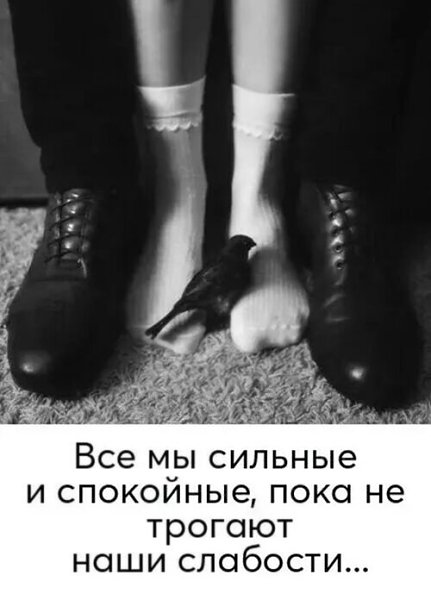   ! - 11  2024  13:17