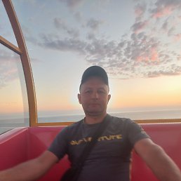 ������, 37 ���, �����������