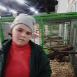 , 17 , 