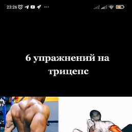 ���� ���������, �����������, 43 ���� - ��������� 10 ������ 2024