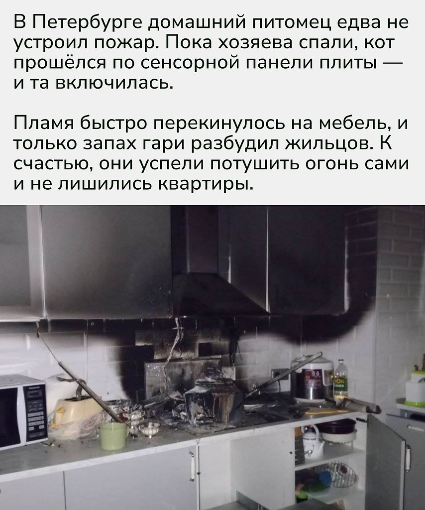 История с хэппи-эндом, но напоминание серьёзное: техника с сенсорным управлением небезопасна для ... - 2