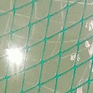 ���������, 39 ���, ��������