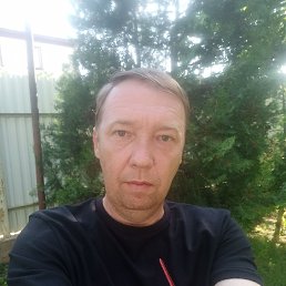  , 43, 