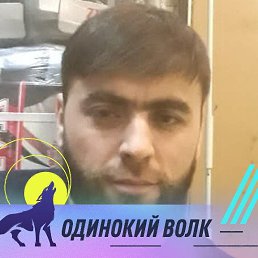 , 36, 