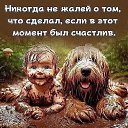    , -, 72  -  7  2025   »