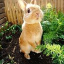 ���� �����, ������, 67 ��� - ��������� 9 ������� 2024 � ������ ������ ��������