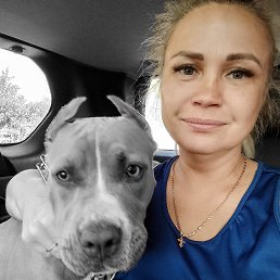 , 44 , 