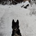 ���� ������, ��������, 70 ��� - ��������� 30 ������� 2023 � ������ ���� ����������