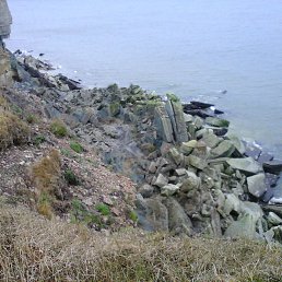 ���� �������, �����-��������� - ��������� 4 �������� 2024