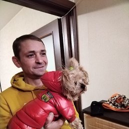 , 43 , -