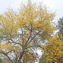 ���� �����, ������-��-����, 43 ���� - ��������� 4 ���� 2024 � ������ ���� ����������