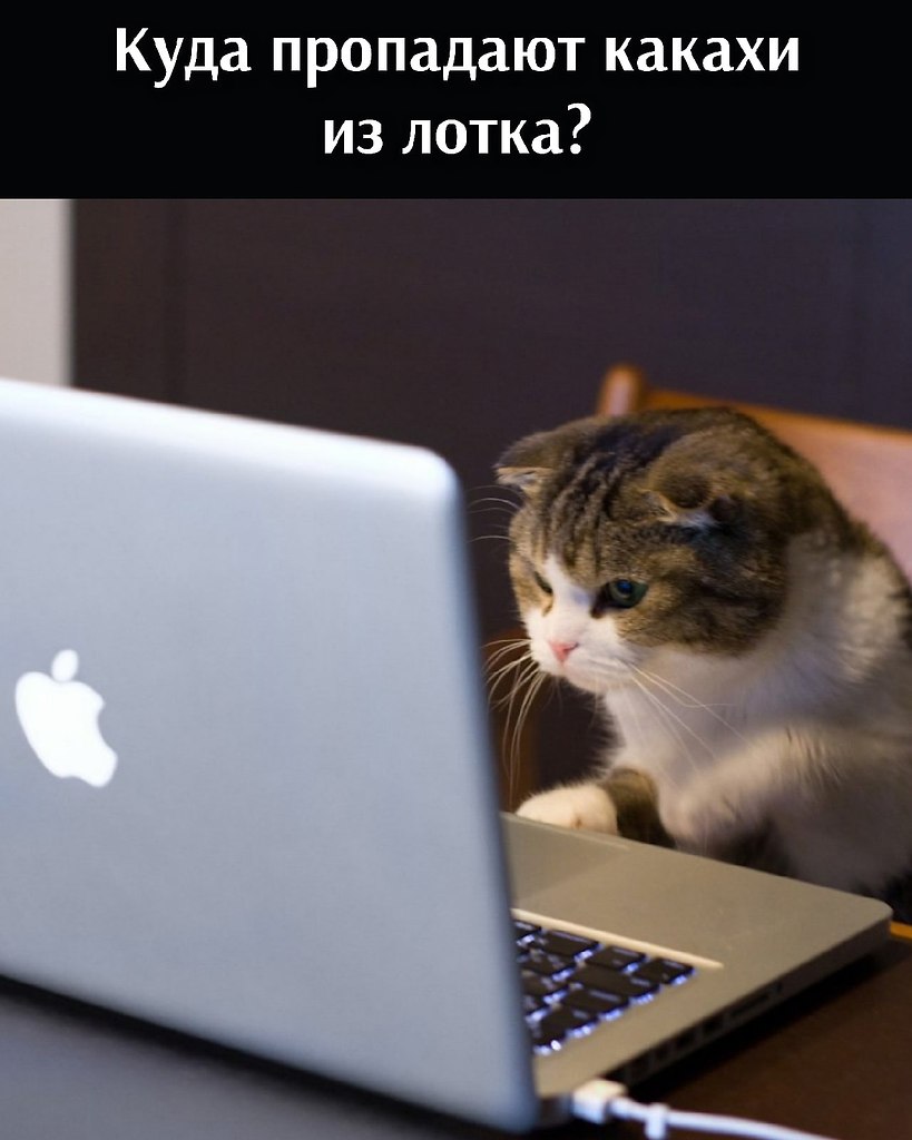   =>