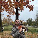 ���� �����, �����-���������, 59 ��� - ��������� 11 ������� 2025 � ������ ���� ����������