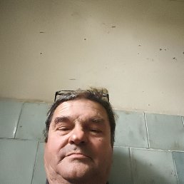 , 55, 