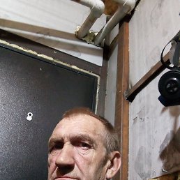 , 55, 