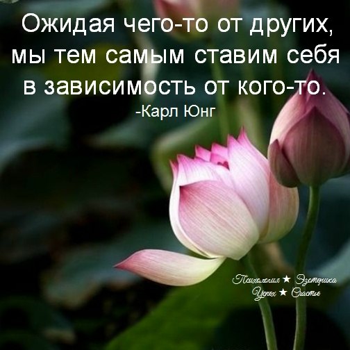 �������� ������ - 7 ���� 2026 � 18:35