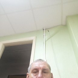 , 51 , 