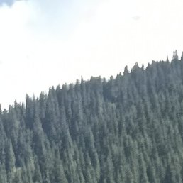 �������, �������, 36 ���