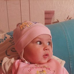 ���� Telman, ����, 53 ���� - ��������� 2 ������ 2024