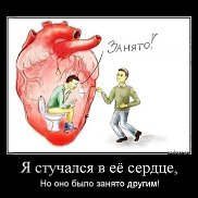 �������, 43 ����, ��������