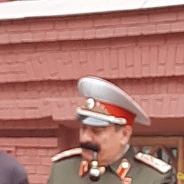 , 37, 